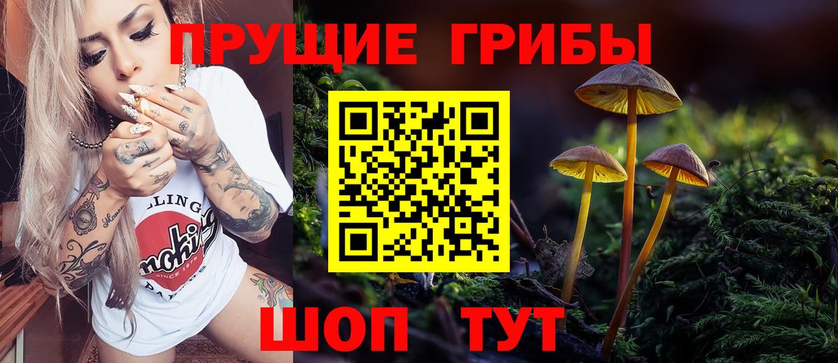 Галлюциногенные грибы MAGIC MUSHROOMS  Псилоцибиновые грибы MAGIC MUSHROOMS  Вход с VPN  где продают наркотики  Богородск 